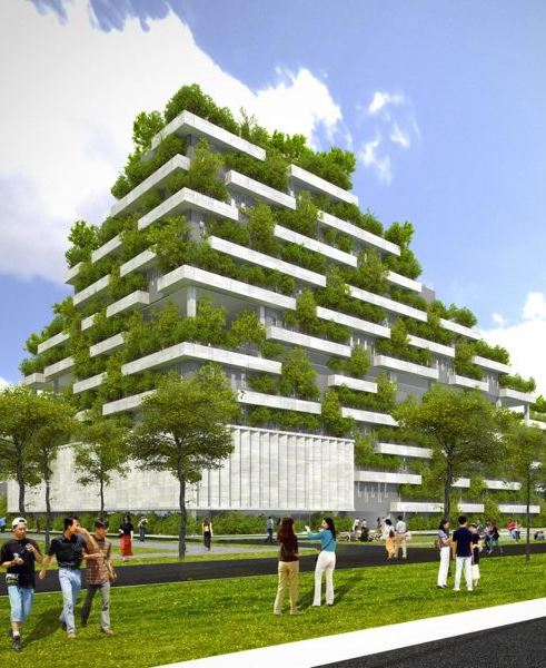 Giao dịch tín chỉ cacbon