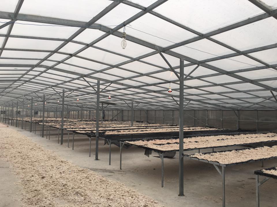 NHÀ SẤY NĂNG LƯỢNG MẶT TRỜI